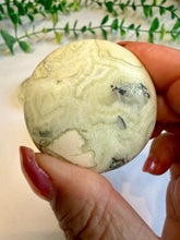 Load image into Gallery viewer, Green Maligano Jasper Round Palm Stones from Indonesia