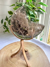 Load image into Gallery viewer, High Quality Smokey Quartz Moon with Inclusions on Stand