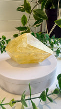 Load image into Gallery viewer, Golden Healer Freeform from Brazil