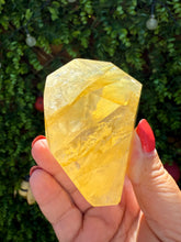 Load image into Gallery viewer, Golden Healer Freeform from Brazil