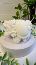Load image into Gallery viewer, White Sparkley Jade Marble Dragon Turtle