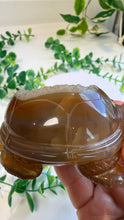 Load image into Gallery viewer, Druzy Agate Tortoise
