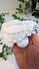 Load image into Gallery viewer, White Sparkley Jade Marble Dragon Turtle