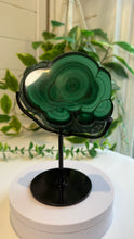 Load image into Gallery viewer, Natural Malachite with Part Polished Front on Custom Black Stand