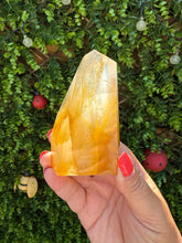 Load image into Gallery viewer, Golden Healer Freeform from Brazil