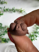 Load image into Gallery viewer, Alashan Agate Fish Carvings