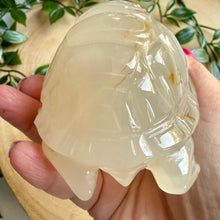 Load image into Gallery viewer, Druzy Agate Tortoise Carving|Hand Carved
