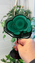 Load image into Gallery viewer, Natural Malachite with Part Polished Front on Custom Black Stand