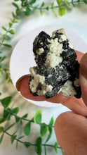 Load image into Gallery viewer, Black Tourmaline Specimen from Erongo