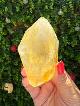 Load image into Gallery viewer, Golden Healer Freeform from Brazil