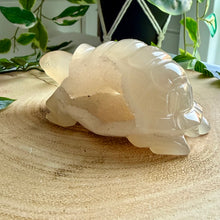 Load image into Gallery viewer, Druzy Agate Tortoise Carving|Hand Carved