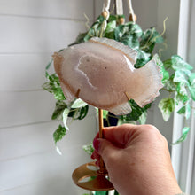 Load image into Gallery viewer, Druzy Agate Fish on Custom Gold Stand