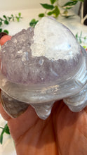Load image into Gallery viewer, Agate Tortoise with Amethyst