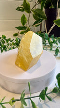 Load image into Gallery viewer, Golden Healer Freeform from Brazil