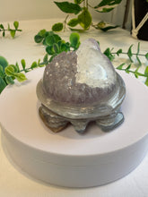 Load image into Gallery viewer, Agate Tortoise with Amethyst