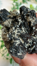 Load image into Gallery viewer, Black Tourmaline Specimen from Erongo