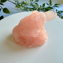 Load image into Gallery viewer, Rose Quartz Money Frog|Toad