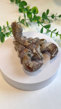 Load image into Gallery viewer, Ocean Jasper Scorpion Carving