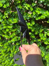 Load image into Gallery viewer, Silver Sheen Obsidian Star on Black Stand