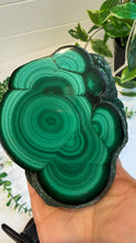 Load image into Gallery viewer, Natural Malachite with Part Polished Front on Custom Black Stand