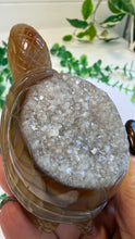 Load image into Gallery viewer, Druzy Agate Tortoise
