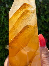 Load image into Gallery viewer, Golden Healer Freeform from Brazil