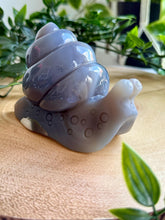 Load image into Gallery viewer, Orca Agate Snail Carving|Snail|Animal Carving|Home Decor
