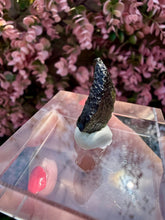 Load image into Gallery viewer, Moldavite Piece from Chlum, Czech Republic|Tektite|High Vibration Crystal