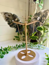 Load image into Gallery viewer, Moss Agate Butterfly Wings|Home Decor
