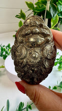 Load image into Gallery viewer, Pyrite Money Frog|Money Toad|Prosperity|Luck|Fortune