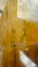 Load image into Gallery viewer, Golden Healer Freeform from Brazil
