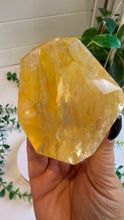 Load image into Gallery viewer, Golden Healer Freeform from Brazil
