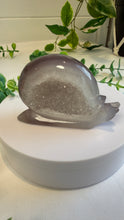 Load image into Gallery viewer, Druzy Agate Snail Carving (Jean)
