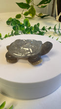Load image into Gallery viewer, Druzy Agate Tortoise (Andy)

