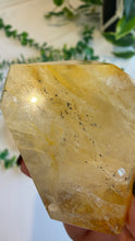 Load image into Gallery viewer, Golden Healer Freeform from Brazil
