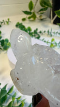 Load image into Gallery viewer, Quartz Tortoise with Inclusions (Drew)

