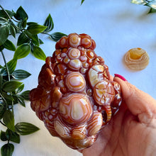 Load image into Gallery viewer, Carnelian Money Frog|Three Legged Money Toad
