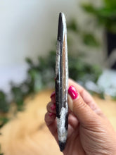Load image into Gallery viewer, Orthoceras Fossil| Natural Polished Orthoceras Fossil
