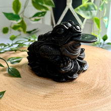 Load image into Gallery viewer, Black Obsidian Money Frog|Toad

