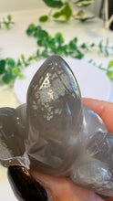 Load image into Gallery viewer, Druzy Agate Tortoise (Andy)
