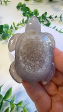 Load image into Gallery viewer, Druzy Agate Turtle (Tod)
