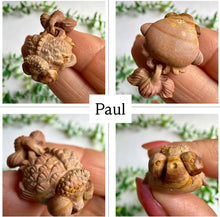 Load image into Gallery viewer, Alashan Agate Fish Carvings
