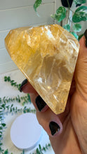 Load image into Gallery viewer, Golden Healer Freeform from Brazil
