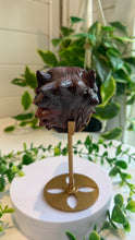 Load image into Gallery viewer, Mookaite Jasper Wolf Head with custom stand|Hand Carved
