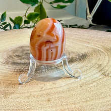 Load image into Gallery viewer, Carnelian Egg with Acrylic Stand
