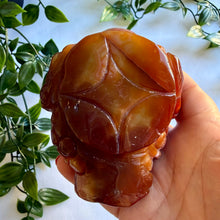 Load image into Gallery viewer, Carnelian Money Frog|Three Legged Money Toad
