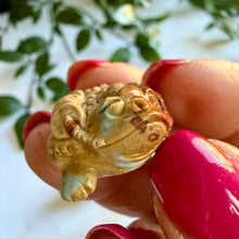 Load image into Gallery viewer, Alashan Agate Money Frog Carving
