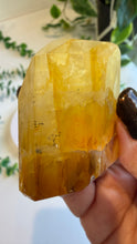Load image into Gallery viewer, Golden Healer Freeform from Brazil
