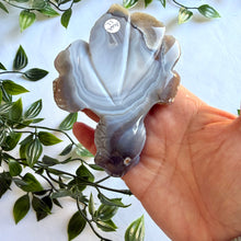 Load image into Gallery viewer, Stunning Banded Agate Hand Carved Fish
