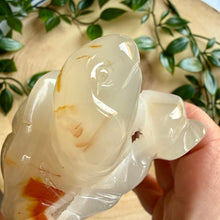 Load image into Gallery viewer, Druzy Agate Tortoise Carving|Hand Carved
